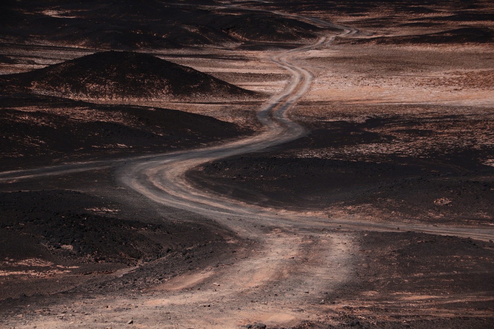 Puna Landscapes - Geometries and Cartographies